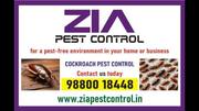 Cockroach Pest Control | Residence and Commercial service Up To 25% Of